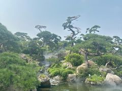 -罗红摄影艺术馆