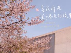 -龙美术馆(西岸馆)