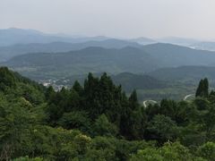 -三圣花乡旅游区