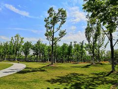 -上海长兴岛郊野公园