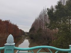 -上海长兴岛郊野公园