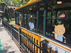 -合肥滨湖国家森林公园