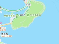 -野狸岛