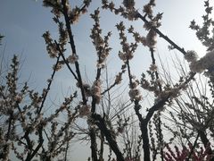 -北京信息科技大学(小营校区)