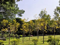 -十九路军淞沪抗日阵亡将士陵园