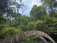 -西双版纳原始森林公园