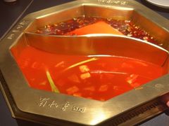 -蜀九香火锅(彩虹店)