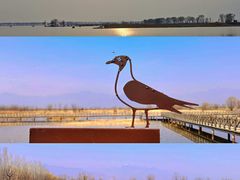 -野鸭湖国家湿地公园