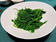 清炒豆尖-烟雨青城·川菜(北京坊店)