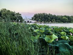 -长春市南湖公园