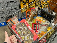 -洛阳郁金香牡丹园