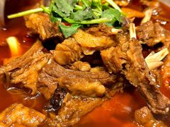 -杨氏青龙虾·羊蝎子(金盛路总店)