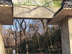 -紫金山山顶公园