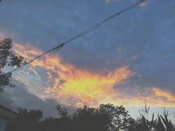 -凡碧诗毛孔收细