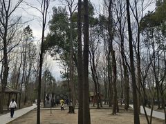 -溱湖国家湿地公园