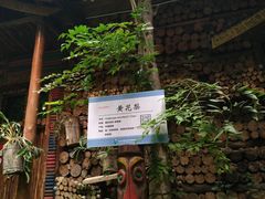 -呀路古热带植物园