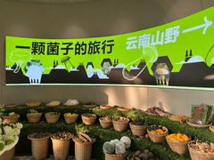 -花菇朵 ll 野生菌火锅·精品云南菜(后沙峪店)