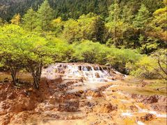 -黄龙山原始森林景区