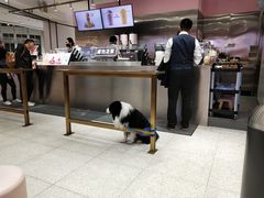-果呀呀(吾悦广场店)
