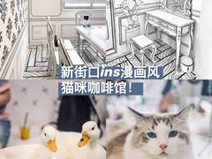 -白夜2D咖啡馆