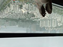 -杭州龙禧福朋喜来登酒店