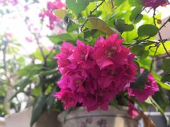 -广州粤海喜来登酒店