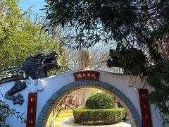 -桃花堤公园