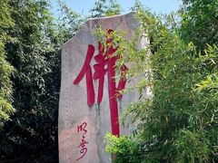 -南海禅寺