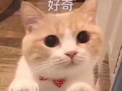 -镖师红糖馒头(宝龙店)