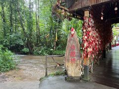 -莫里热带雨林景区