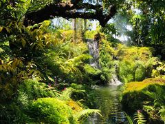 -Chom Cafe and Restaurant