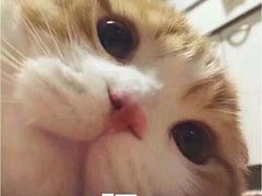 -海派铜锣湾(打浦路店)