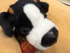 -麦当劳(北京路广百广场店)