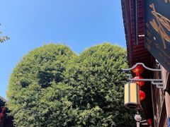 -百饼园(南后街店)