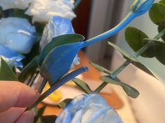 -双季花艺园艺市场(浦东店)
