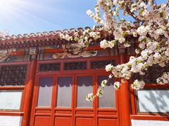 -海棠花溪(元大都城垣遗址公园)