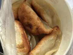 洋洋锅贴-洋洋锅贴