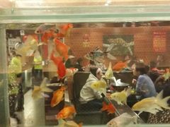 android_upload_pic-问渔烤鱼(回龙观总店)