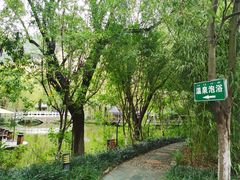 -阳光温泉大酒店