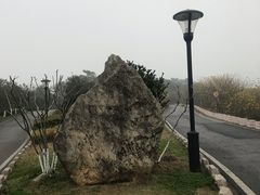 -羊山湖公园