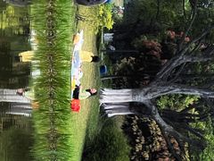 -东莞植物园