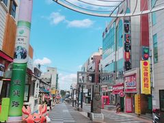 -宝健路步行街(Pedestrian Shopping Street)