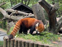 -云南野生动物园
