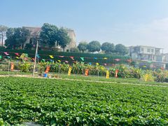 -南国桃园旅游度假区