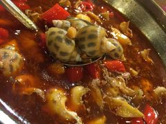 -华兴大酒楼(亿宝大厦店)