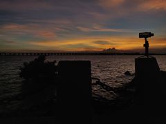 -宝安西湾红树林湿地公园