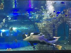 -苏州海洋馆