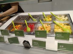 -Salud撒露欧洲冻酸奶(蓝色港湾店)