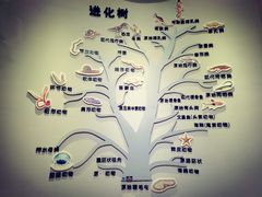 -昆明市博物馆(昆明市文物保护和考古研究中心)