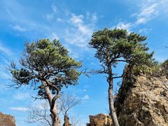 -大连天门山国家森林公园